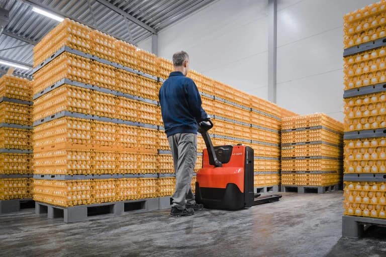 BT Levio 2.5t - Immagine 8