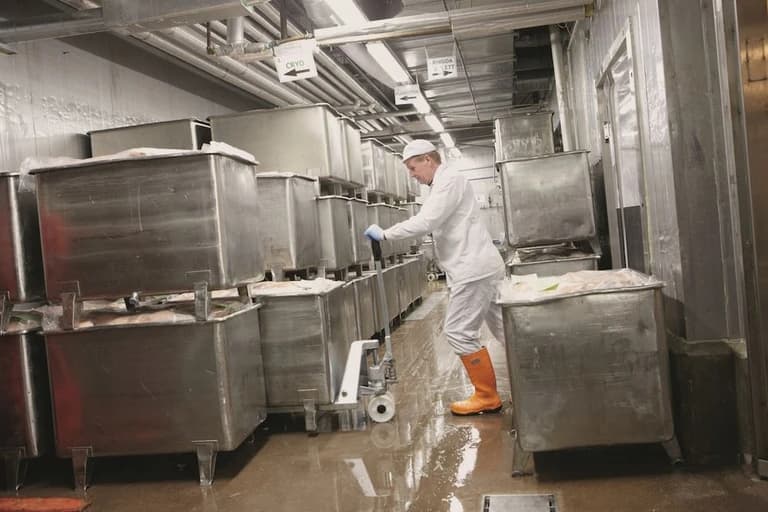 Toyota Lifter Galvanized – Transpallet manuale zincato - Immagine 4